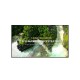 55" LG LED 55UL3-UHD, 350cd, WebOs, 16/7